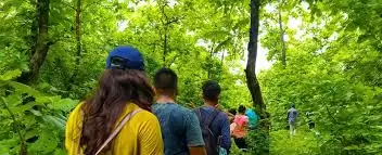 Corporate Outing Ideas Near Ahmedabad: Team Bonding in Nature