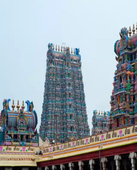 Marvellous Tamilnadu