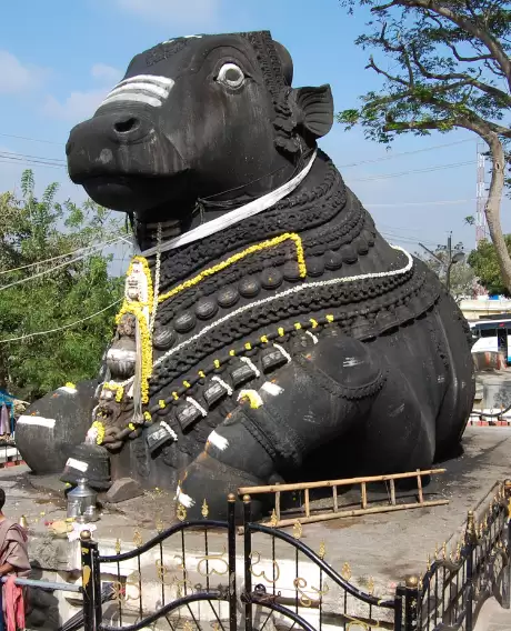 Vibrant Karnataka