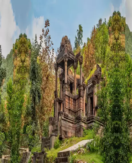 Polo Forest