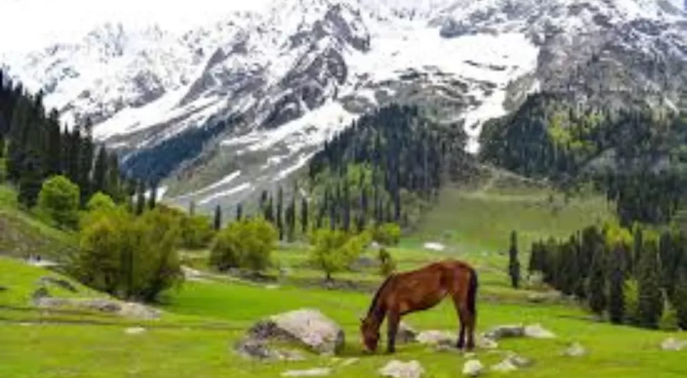 Beautiful Kashmir